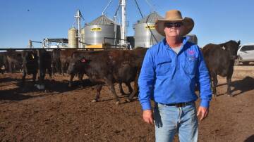 Clay Kenny at his Llanarth feedlot. Picture by Steph Allen