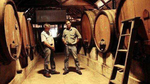 David and Richard Wall in the Romavilla wine cellar. Picture: Wall family