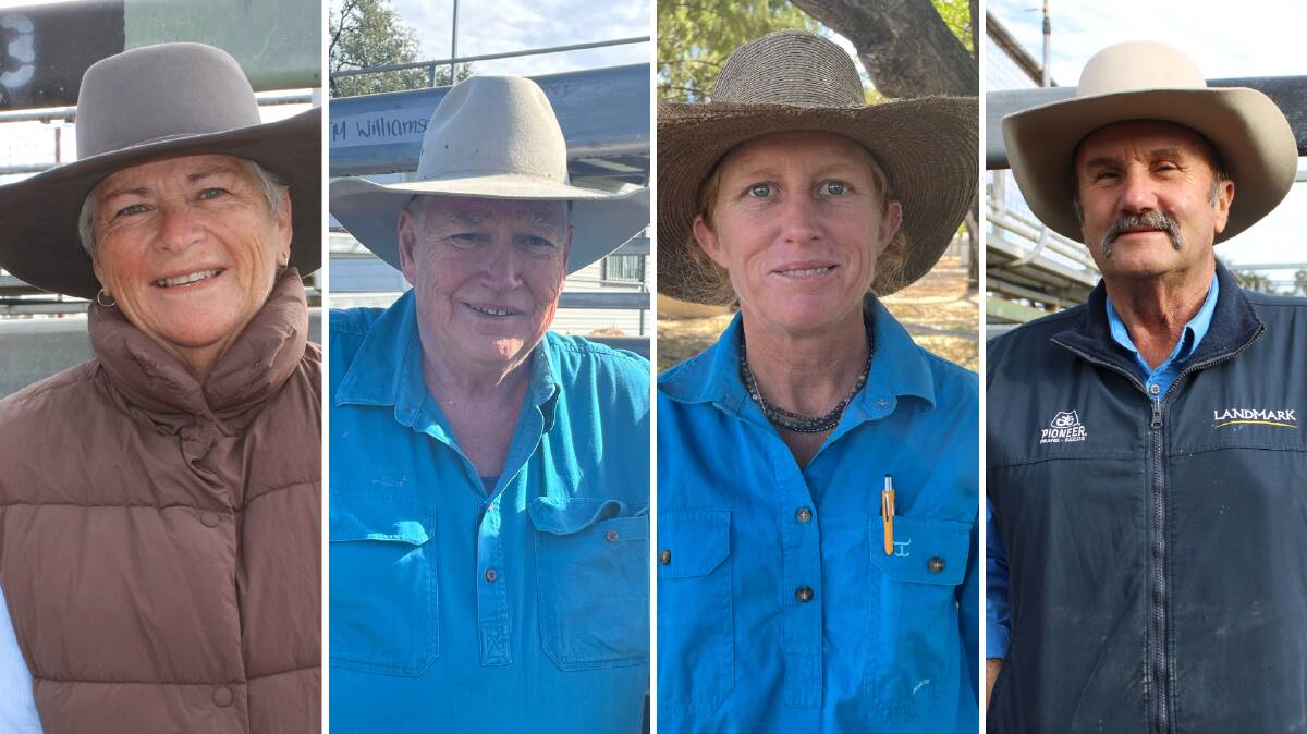 A number of producers have had their say on the cattle market at sales across the state. Picture: Helen Walker, Kelly Mason and Steph Allen 