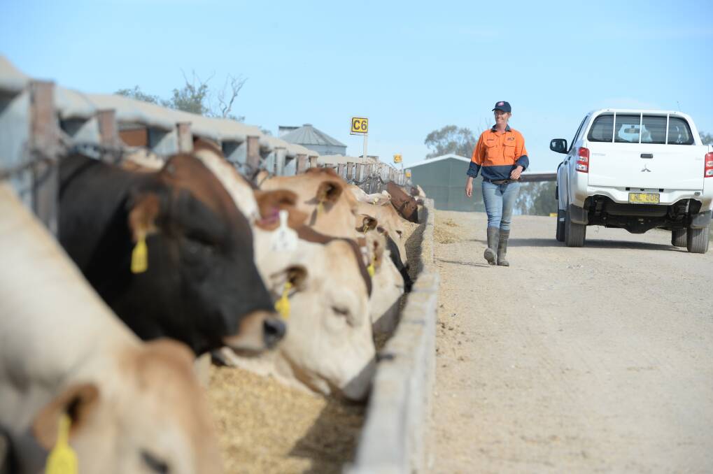 The counterparties to the trade were longstanding StoneX client Mort and Company, a Queensland-based lot feeder, and an east coast-based cattle trader.