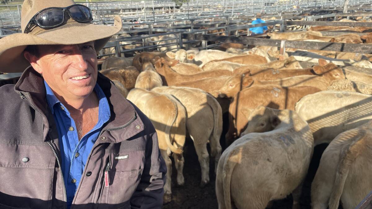 Martin Oakes, Old Hidden Vale, Grandchester, with some of the top quality Charolias-cross calves presented by Jildrift, which sold to $1260.