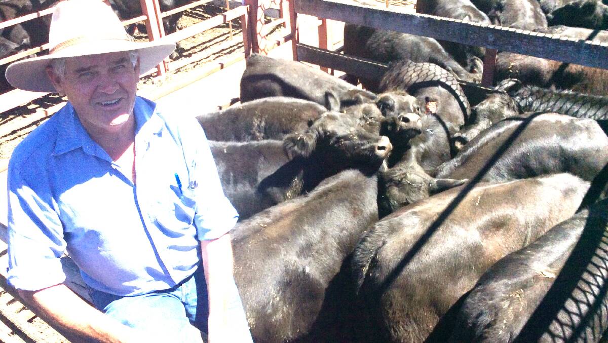 Don Russell, Warwick Park, Pratten, with his champion pen of 329kg Angus steers, which made 434c to return $1428.