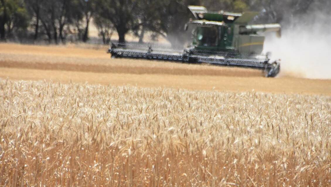 CSIRO is on the hunt for food and agribusiness looking to invest in R&D.