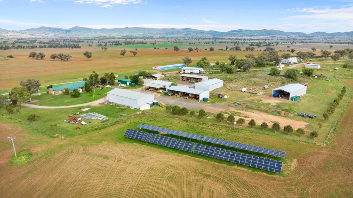 Almost a third of the farm's electricity requirements are met by a 100kW solar system. Picture supplied