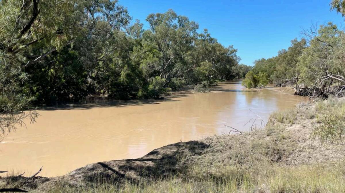 Long Swamp is a versatile 11,235 acre) property on the Barwon River. Picture supplied