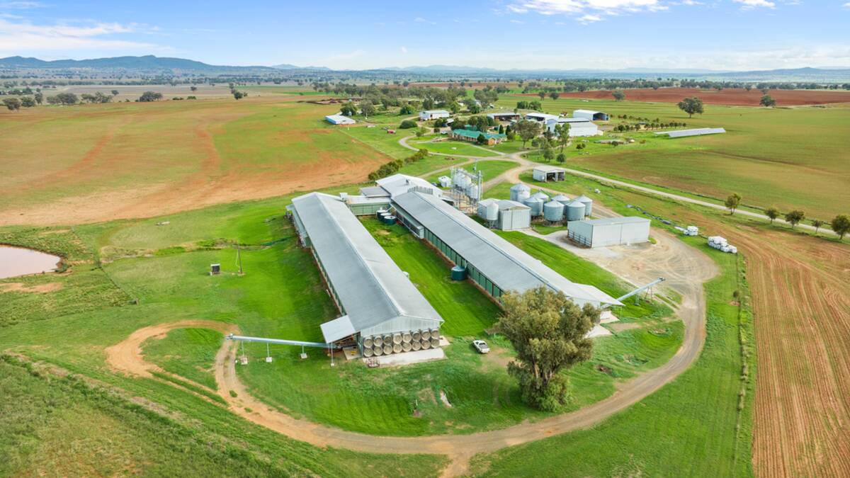 Glendon is a highly functional egg producing farm currently running 106,000 birds. Picture supplied