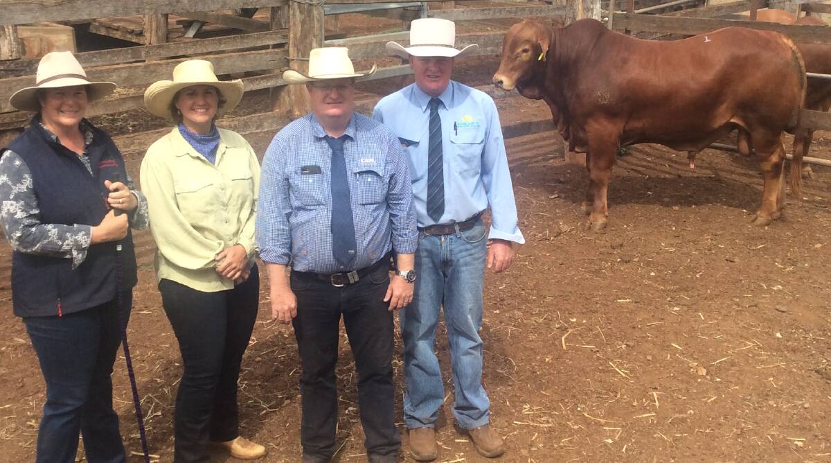 SALE TOPPER: Vendor Kirstie Orphant, Seymour Droughtmasters, Gunalda, and buyer Jody Brown, Latrobe, Longreach, with auctioneers Mark Duthie, GDL, and Corey Evans, Aussie Land and Livestock.