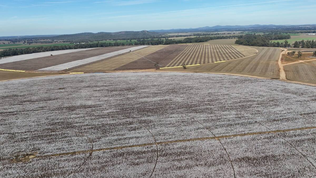 The productive red, brown and black soils are suitable for a wide range of row crops as well as dryland winter cereals and canola. Picture supplied