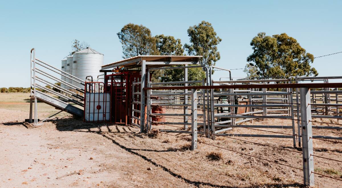 The 250 head capacity steel panel cattle yards have a covered work area with a crush and scales. Picture supplied