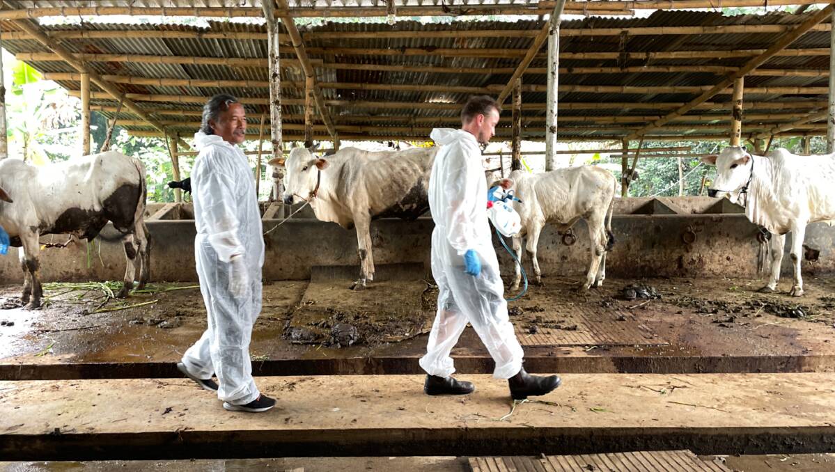 Indonesia is ramping up its preparedness for future exotic disease outbreaks including foot and mouth disease with support from Australia. Picture supplied